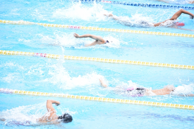 競泳の写真